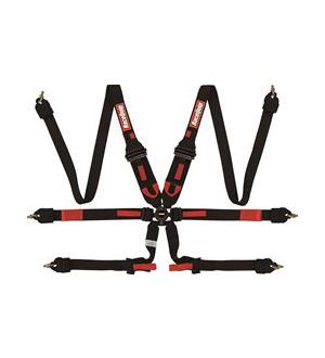 RaceQuip Black FIA CAMLOCK 6pt 2in Pull Down Lap FHR