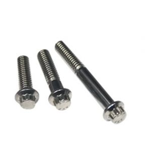 ATI Performance Products Bolt - Damper Face - Bulk 100 - 5/16 - 18x1 Flat Torx Plus