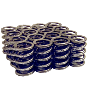 Blox Racing Valve Springs for Honda B-Series DOHC VTEC (B16A - B18C1-5)