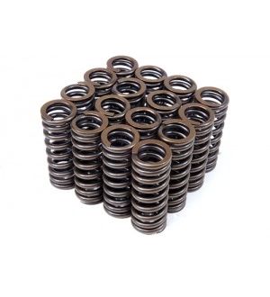 Blox Racing Valve Springs for Honda D-Series SOHC VTEC (D16Z6-Y8) 