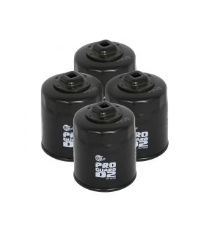 aFe Pro GUARD D2 Oil Filter 2.9in OD x 2.9in HT