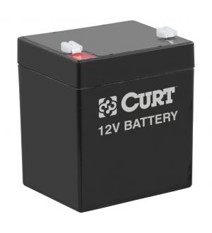 Curt Breakaway Battery