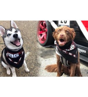 IAG Performance Doggo Swag Pack